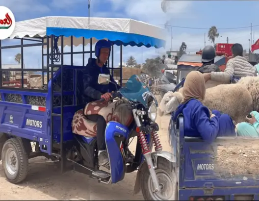 أزمور.. عيد الأضحى ينعش مهنة النقل عبر “التربورتور”