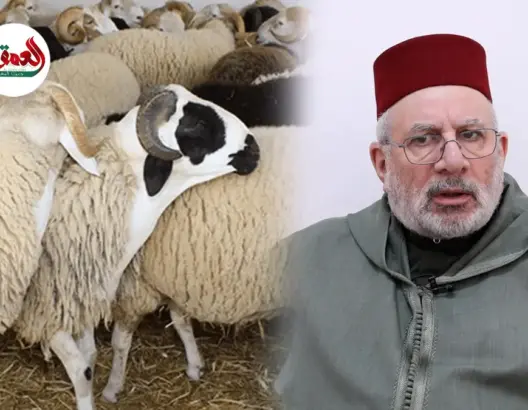 هل يجوز للمرأة ذبح أضحية العيد؟.. داعية يوضح