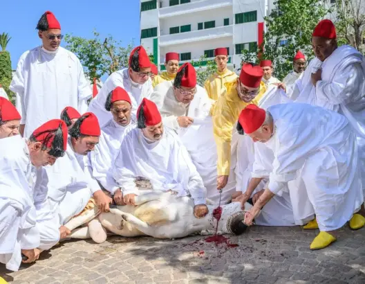 الملك محمد السادس يؤدي صلاة العيد بتطوان وينحر الأضحية