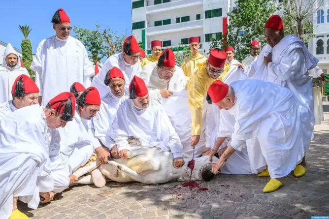 الملك محمد السادس يؤدي صلاة العيد بتطوان وينحر الأضحية