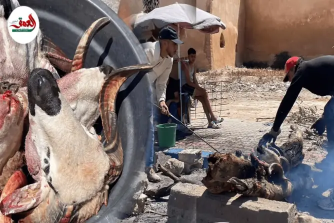 أكبر “مشوطة” بالمدينة أزمور