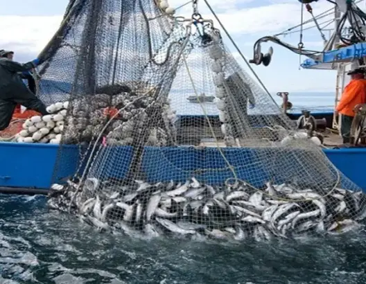 الركود يخيم على مفرغات الصيد الساحلي والتقليدي بميناء طنجة
