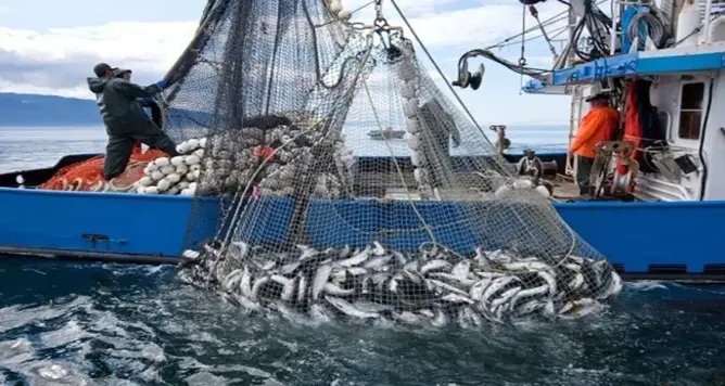 الركود يخيم على مفرغات الصيد الساحلي والتقليدي بميناء طنجة