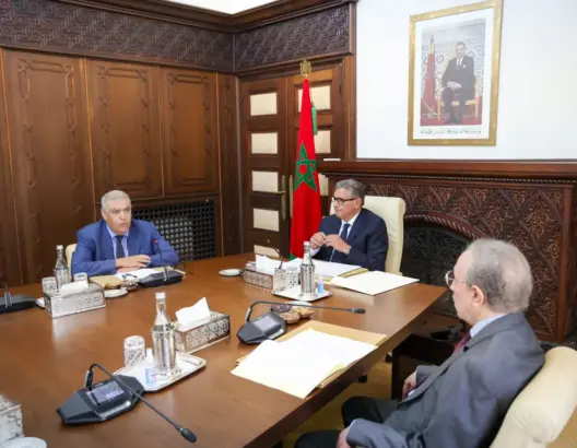 دعا الإدارات إلى الانخراط الجاد.. أخنوش يترأس اجتماعا حول الإحصاء العام للسكان