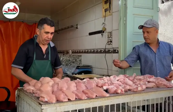 أسعار الدجاج تواصل الارتفاع مع حلول الصيف