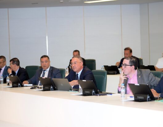 لقجع يستعرض أمام المجموعة البرلمانية خطة جامعته لتطوير الكرة الوطنية