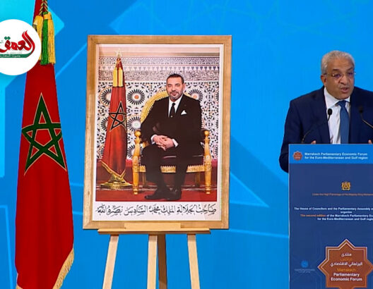 أدان بشدة الحرب على غزة.. الطالبي العلمي: مشاكل الهجرة واللجوء نتيجة حتمية للأزمات والحروب