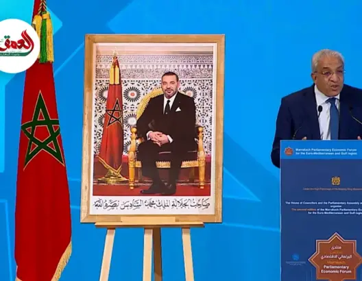 أدان بشدة الحرب على غزة.. الطالبي العلمي: مشاكل الهجرة واللجوء نتيجة حتمية للأزمات والحروب