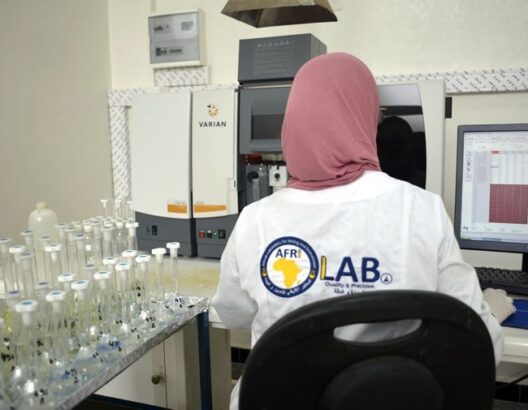Afrilab