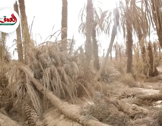 مطالب بإعلان زاكورة منطقة منكوبة
