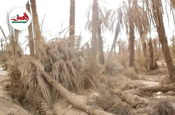 مطالب بإعلان زاكورة منطقة منكوبة