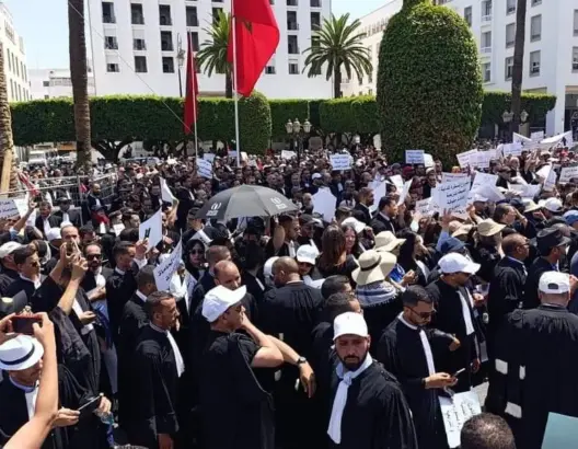 حذروا من “انتكاسة دستورية”.. المسطرة المدنية تخرج المحامين للاحتجاج أمام البرلمان (فيديو)