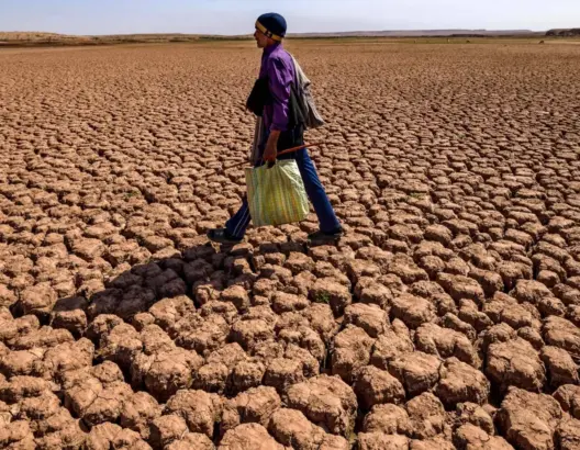 الجفاف يفاقم نزيف سوق الشغل والبطالة تطوق 1.6 مليون مغربي