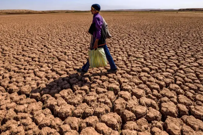 الجفاف يفاقم نزيف سوق الشغل والبطالة تطوق 1.6 مليون مغربي
