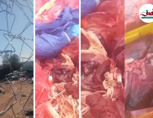 وزارة الصحة تقدم روايتها بخصوص عشوائية تدبير النفايات الطبية بورزازات