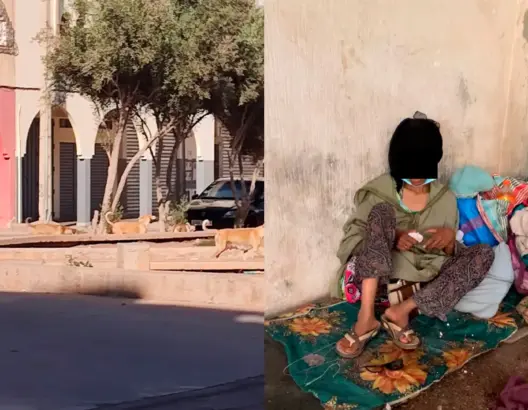 المشردون والكلاب الضالة يثيران مخاوف سكان بأكادير ومطالب بتدخل حازم