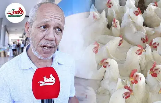 تذمر من غلاء الدواجن