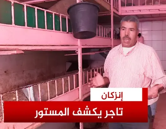 موزعو الدجاج يقاطعون بائع دواجن بإنزكان فضح تلاعبهم بالأسعار (فيديو)