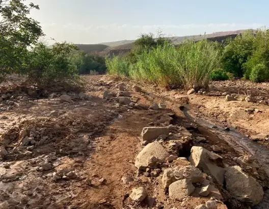 “العمق” ترصد حجم خسائر فيضانات ورزازات