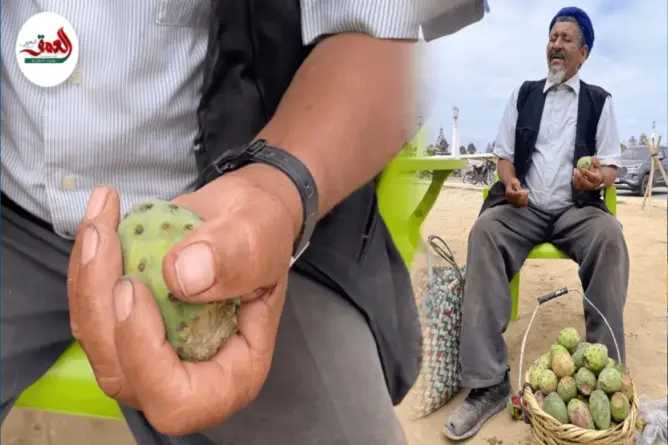 الغلاء يفاقم معاناة بائعي الهندية بالواليدية