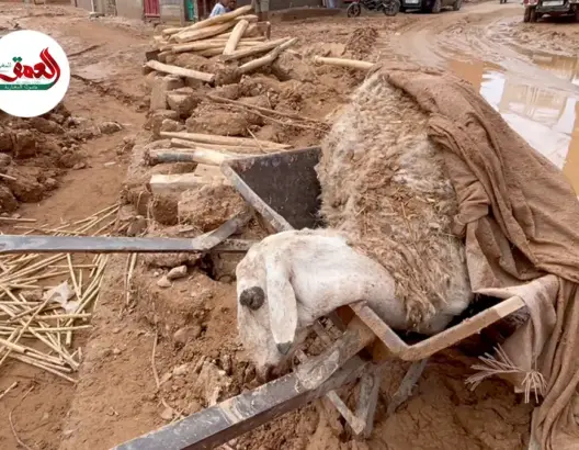 فيضانات قلعة امكونة ..خسائر فادحة