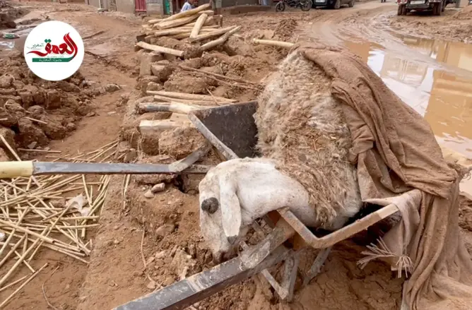 فيضانات قلعة امكونة ..خسائر فادحة