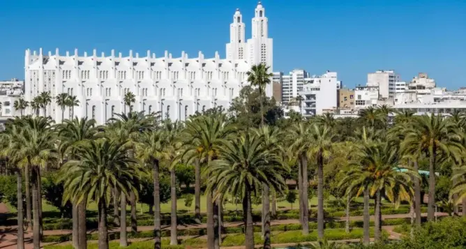 جماعة البيضاء تحذف عدادات سقي المساحات الخضراء بالماء الشروب