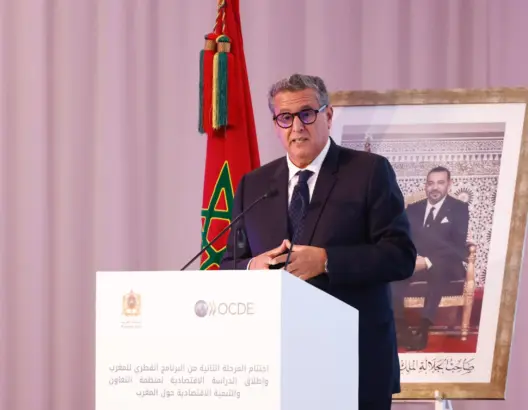 عزيز أخنوش يشيد بالتعاون بين المغرب و”OECD”