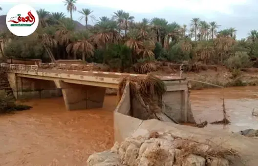 الحكومة :تعبئة شاملة لفيضانات الجنوب