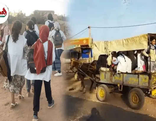 الجديدة.. تلاميذ يتخذون “كرويلة” وسيلة للنقل المدرسي