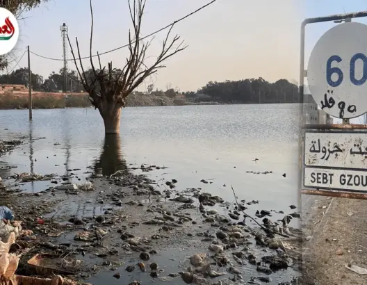 كارثة بيئية.. “بحيرة” من المياه العادمة بسبت جزولة