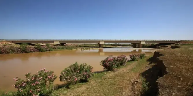 عمره 5 آلاف سنة.. علماء يكتشفون بالمغرب أكبر وأقدم مركب زراعي بإفريقيا (صور)