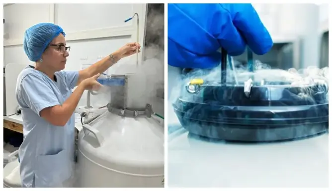 إجراء أول عملية لتجميد المبيض بالمغرب.. وطبيبة ببيولوجية: آمال جديدة لمريضات السرطان