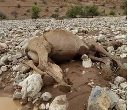 فيضانات طاطا.. سكان “أقا” يواصلون إحصاء خسائرهم