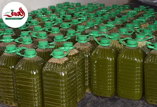 “الزيت البلدية” بـ 120 درهم للتر مع بداية الموسم
