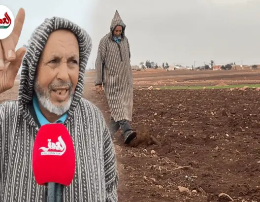 فلاحون بدكالة يستقبلون الأمطار بتفاؤل
