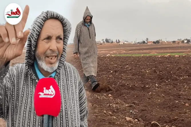فلاحون بدكالة يستقبلون الأمطار بتفاؤل