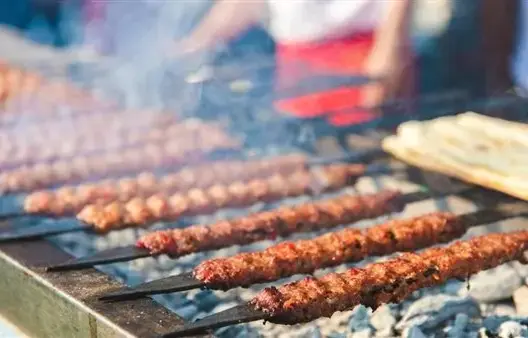 ضجيج وأدخنة .. مسنة بخريبكة تشكو ضرر محل شواء لعامل الإقليم