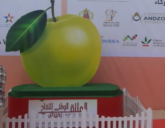 ملتقى التفاح بميدلت