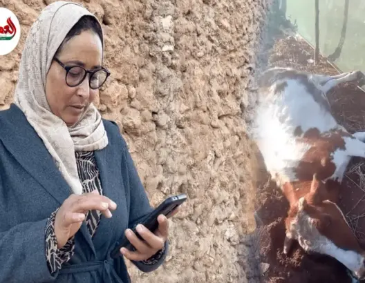 مع مُصوِّرة “البقرة المقتولة” بالجديدة