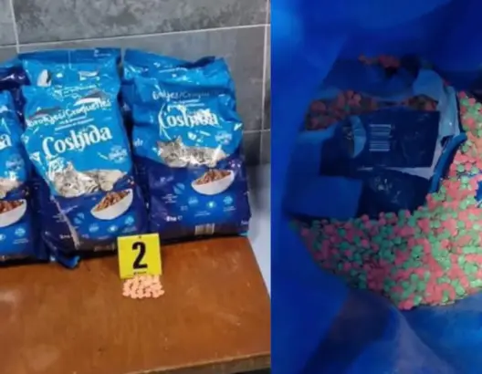 إحباط 209 ألف من حبوب إكستازي بطنجة مخبأة بطعام قطط (صور)