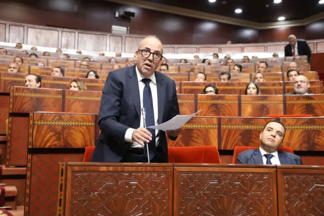 مطالب للبواري بالنأي بسلاسل الإنتاج عن لغة “التفرقيش” ووضع حد لغلاء الأعلاف