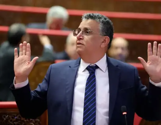وهبي: الانتخابات تخضع لرقابة الدولة العميقة .. والجولاني دخل سوريا ضمن اتفاق معين