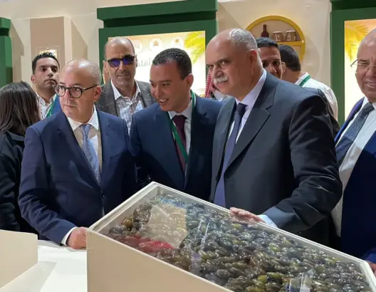 افتتاح الدورة الـ13 للمعرض الدولي للتمور بأرفود.. والمغرب يتوقع إنتاج 103 آلاف طن (فيديو)