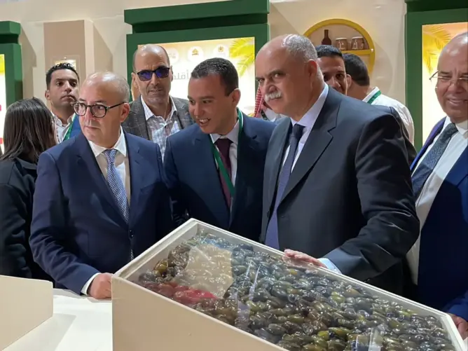افتتاح الدورة الـ13 للمعرض الدولي للتمور بأرفود.. والمغرب يتوقع إنتاج 103 آلاف طن (فيديو)