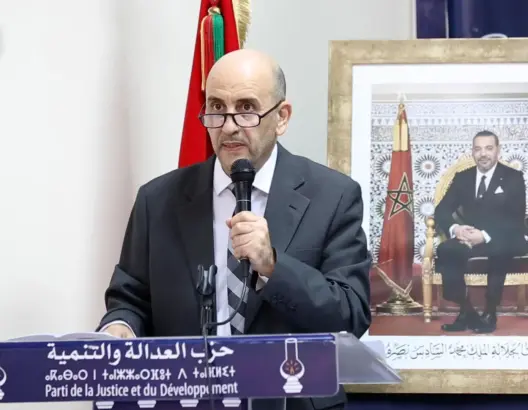 الصديقي: قضية الصحراء نتاج للصراع مع الجزائر