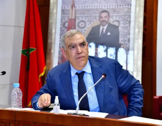 وزير الداخلية: المغرب يتعرض لحملة تشويه ممنهجة بسبب ملف الكلاب الضالة
