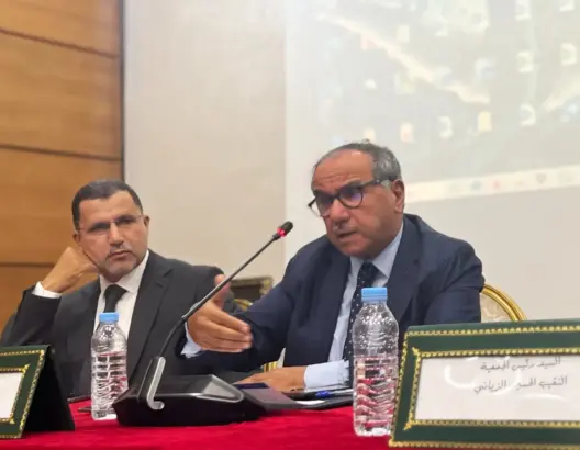 طبيح: لا ندافع عن مصالح المحامين ومشروع المسطرة المدنية يتجاهل عدالة القضاء (فيديو)