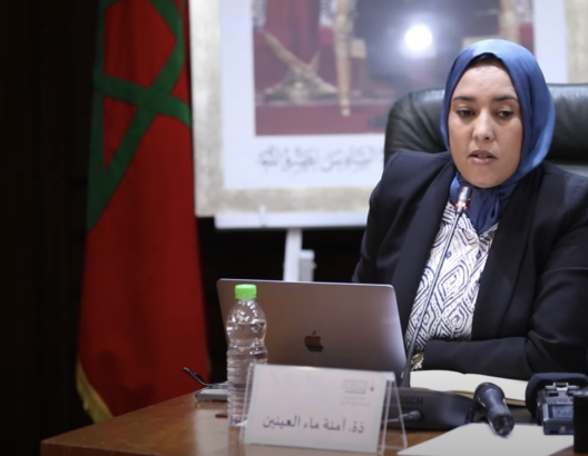 أكدت أمينة ماء العينين، عضو الأمانة العامة لحزب العدالة والتنمية، أن "الحظ والسياق دعما الإسلام السياسي بالمغرب