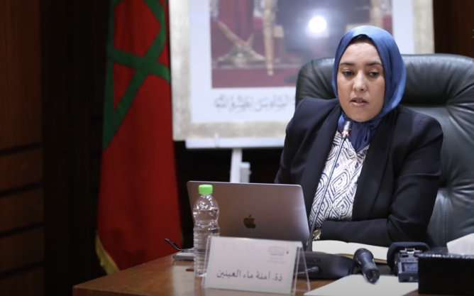 أكدت أمينة ماء العينين، عضو الأمانة العامة لحزب العدالة والتنمية، أن "الحظ والسياق دعما الإسلام السياسي بالمغرب